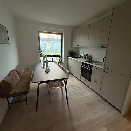 公寓 Luxe Retreat & Stylish 哥本哈根